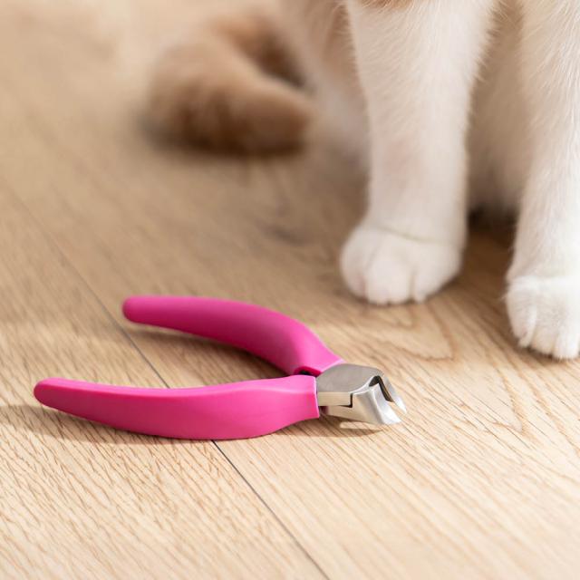 SUWADA ペット用爪切り ペット用品 猫 612716