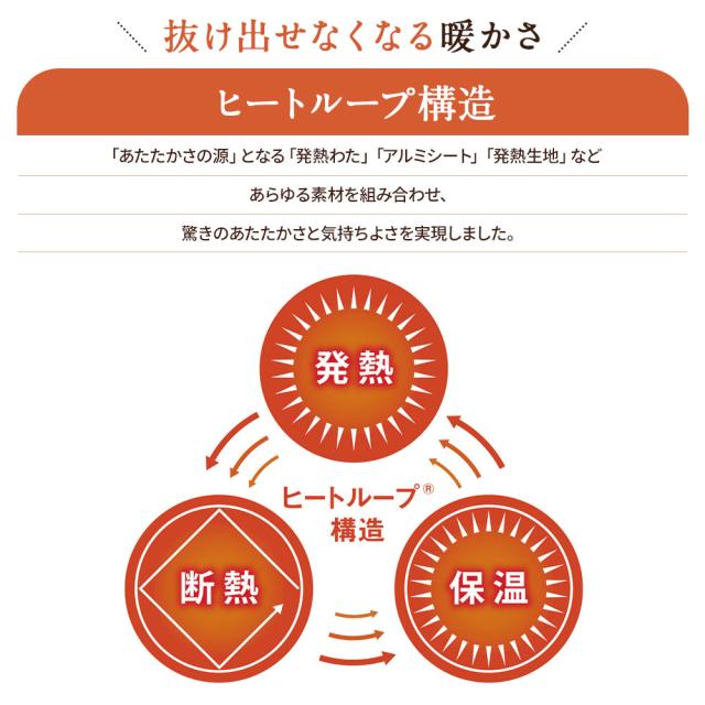 敷きパッド 冬 暖かい あったか 厚手 極厚 静電気防止 冬用敷きパッド ヒートループ（R）ハイパー ぬくぬく敷きパッド クイーン AR2400_6