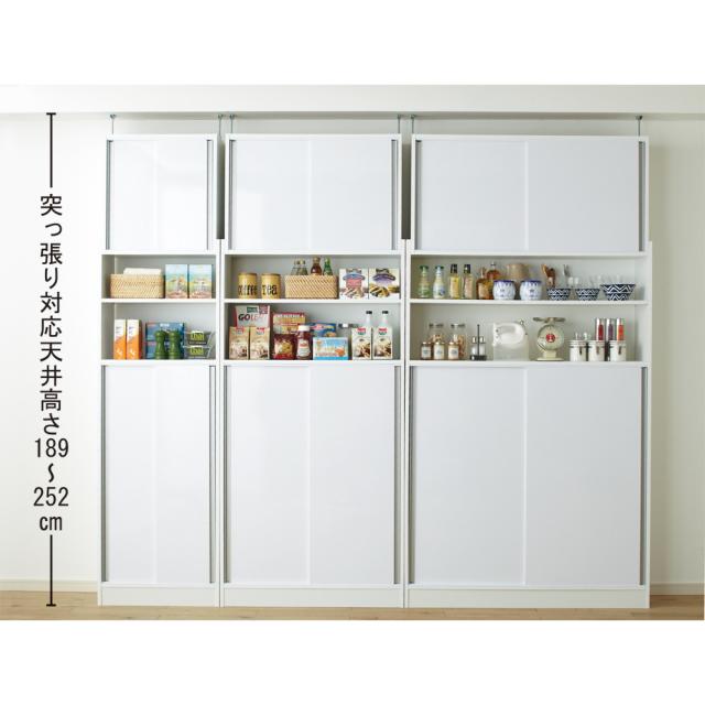 家具 収納 トイレ収納 洗面所収納 狭いキッチンでも置ける 薄型引き戸パントリー収納庫 奥行21cmタイプ 幅60cm の通販はau Pay マーケット ディノス Au Pay マーケット店