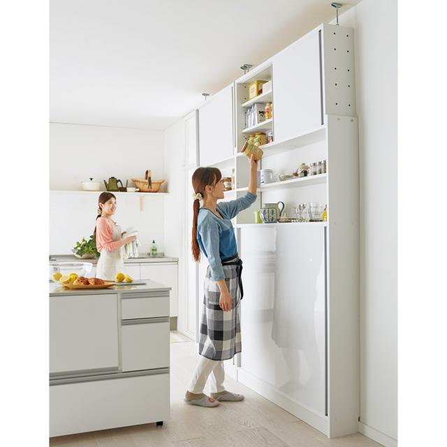 絵画 蓮とトンボ（小森文雄作品） 絵画 蓮とトンボ（小森文雄作品） 絵画