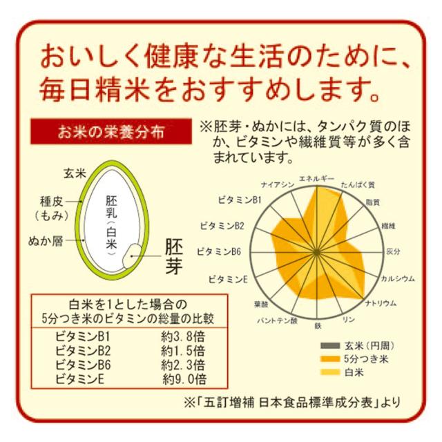 TWINBIRD/ツインバード 家庭用コンパクト精米器 １-４合 キッチン家電 調理家電 KR0162_9