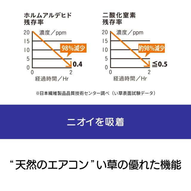 ≪約67×180cm≫ い草インテリアマット〈リーブス〉（厚さ約5mm） カーペット ラグ マット 玄関マット 654446_9
