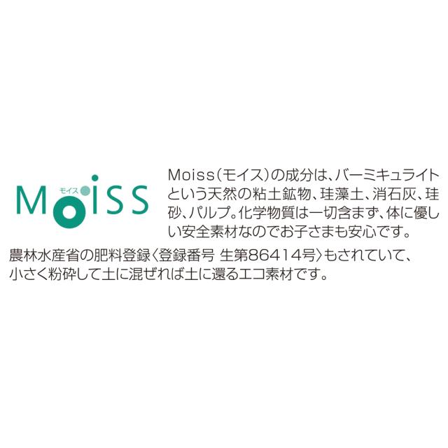 ≪小サイズ≫ soleau/ソレウ 吸水・速乾・消臭バスマット＆スノコ お得な2点セット バス用品 バスマット 622258_5