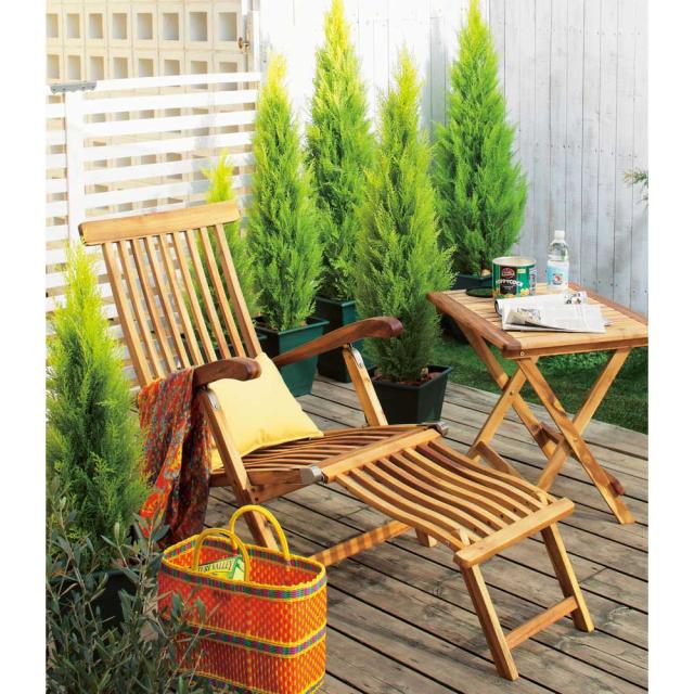 人工観葉植物ゴールドクレスト 高さ120cm インテリアグリーン 造花 フェイク 人工観葉植物 G03102_5