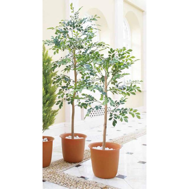 ≪高さ160cm≫ 人工観葉植物シマトネリコ１鉢 インテリアグリーン 造花 フェイク 人工観葉植物 G03115_1