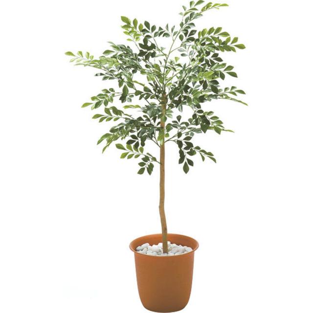 ≪高さ160cm≫ 人工観葉植物シマトネリコ１鉢 インテリアグリーン 造花 フェイク 人工観葉植物 G03115_2