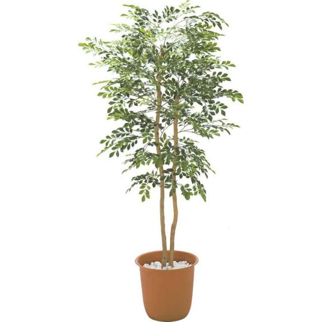 ≪高さ160cm≫ 人工観葉植物シマトネリコ１鉢 インテリアグリーン 造花 フェイク 人工観葉植物 G03115_5