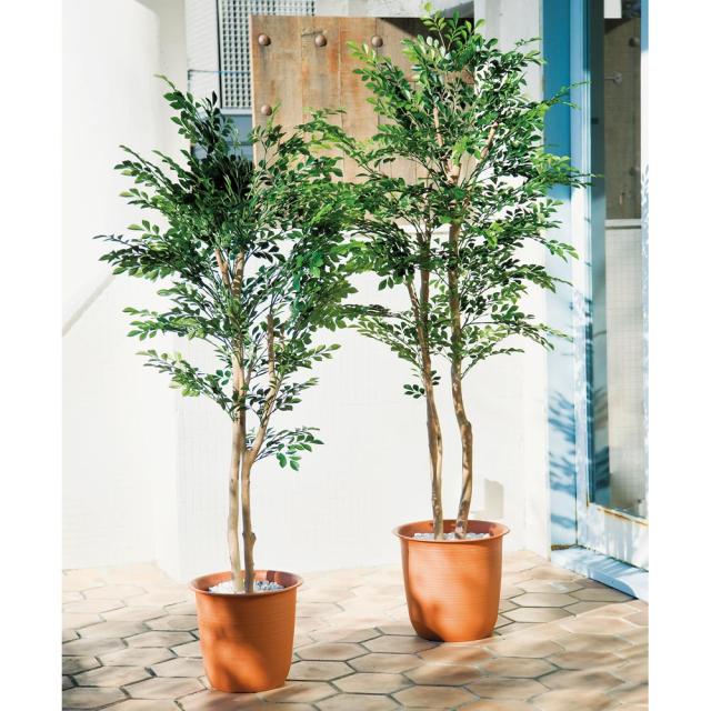 ≪高さ180cm≫ 人工観葉植物シマトネリコ１鉢 インテリアグリーン 造花 フェイク 人工観葉植物 G03116