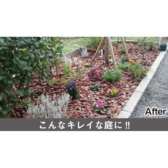ガーデニングツール 庭手入用品 除草 雑草抜き 【ムサシ】充電式小型除草バイブレーター ハンドルセット（本体＋ハンドル） G71711の通販は