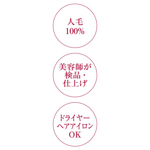 人毛100％フルウィッグ エレガントボブ ヘアケア ウィッグ M84903_6