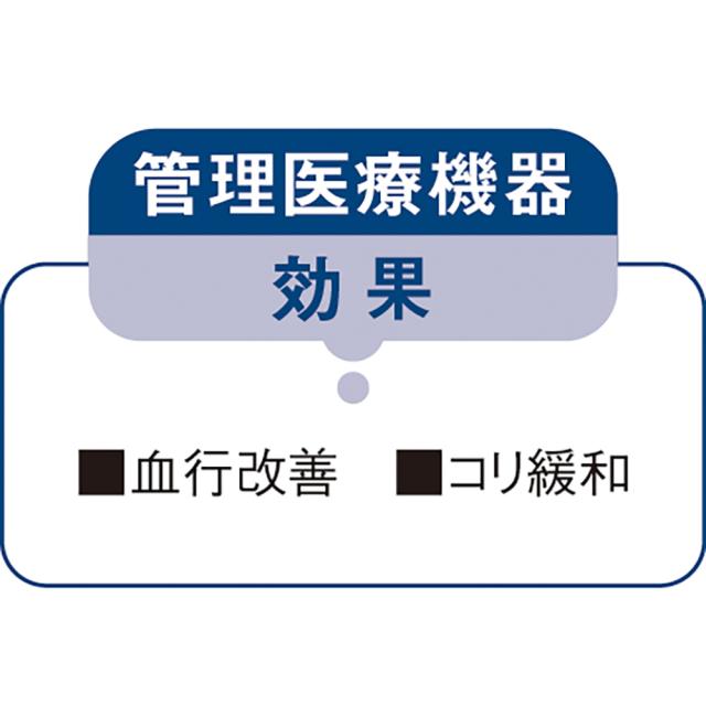 コラントッテ 磁気ネックレス TAO ネックレス スリム RAFFI mini（ラフィ ミニ）シャンパンゴールド 機能性ウェア 機能性雑貨 YA3105_3