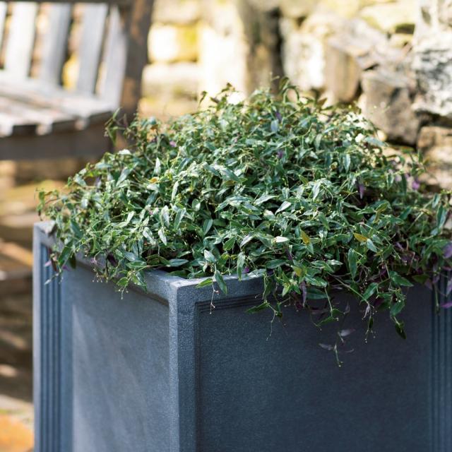 プランター 植木鉢 鉢カバー ブリティッシュ調FRPプランター キューブ S G80105の通販は 24,900円