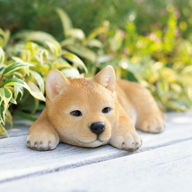 ガーデニング フラワー ガーデニング用品 エクステリア ガーデニンググッズ 柴犬のオーナメントシリーズ ふせ子柴 Gの通販はau Pay マーケット ディノス Au Pay マーケット店