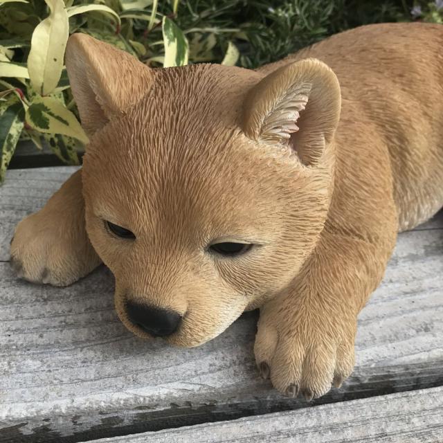 ガーデニング フラワー ガーデニング用品 エクステリア ガーデニンググッズ 柴犬のオーナメントシリーズ ふせ子柴 Gの通販はau Pay マーケット ディノス Au Pay マーケット店