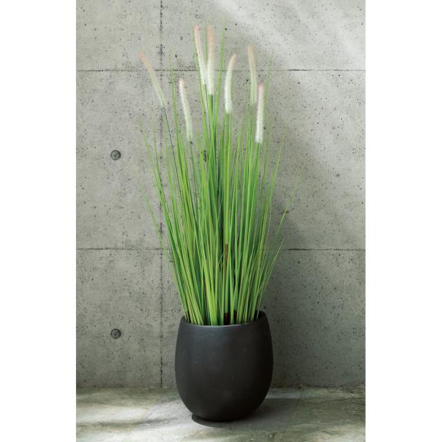 ガーデニング フラワー 花 インテリアフラワー 和モダンインテリアグリーンシリーズ テールグラス122cm 本体 鉢セット G687の通販はau Pay マーケット ディノス Au Pay マーケット店