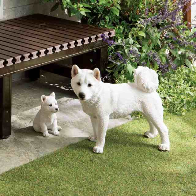 ガーデン 置物 白柴犬のオーナメント 親 G73618の通販は