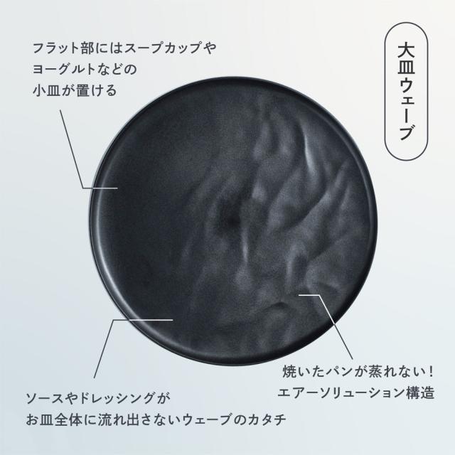ARAS ディノス大人気10点セット 特典付き 食器 平皿 長皿 ワンプレート KR0902_3