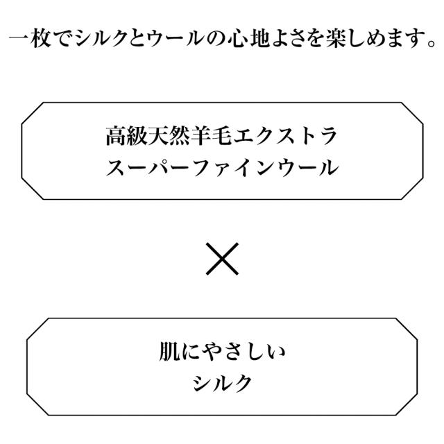 毛布 掛け毛布 ブランケット ≪ダブル≫洗えるエクストラスーパーファインウール＆シルク リバーシブル毛布 504005の通販は
