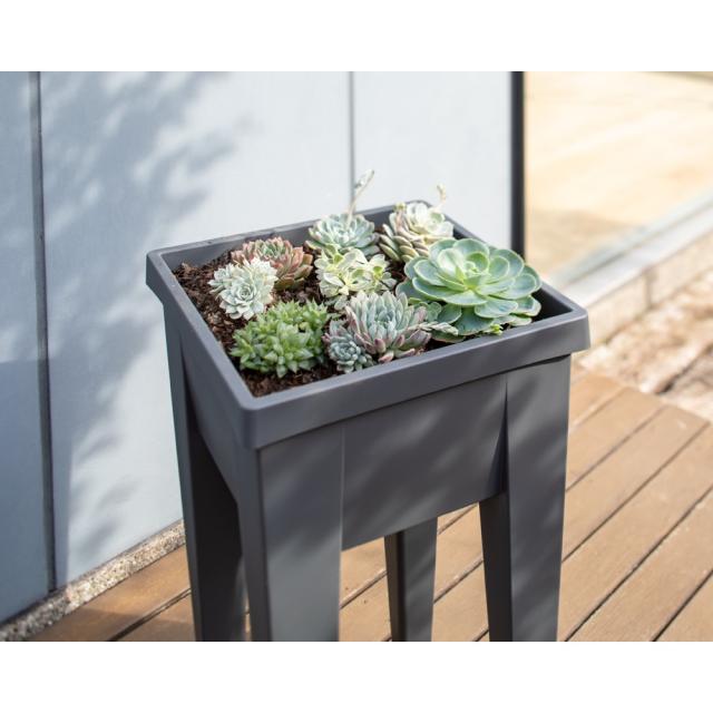 プランター 植木鉢 鉢カバー フランス製 育苗プランターセット S G70609の通販は 10,220円