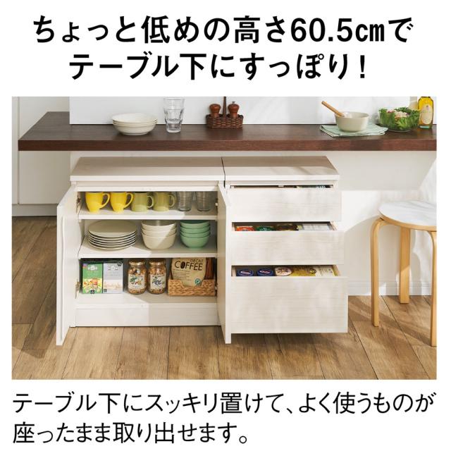 ≪幅120cm・4枚扉≫ 高さ60cm！カウンターテーブル下に収まる収納庫 
