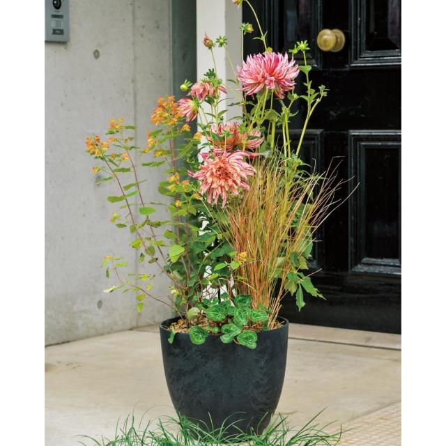 プランター 植木鉢 鉢カバー アートストーンプランター エッグM G80203の通販は