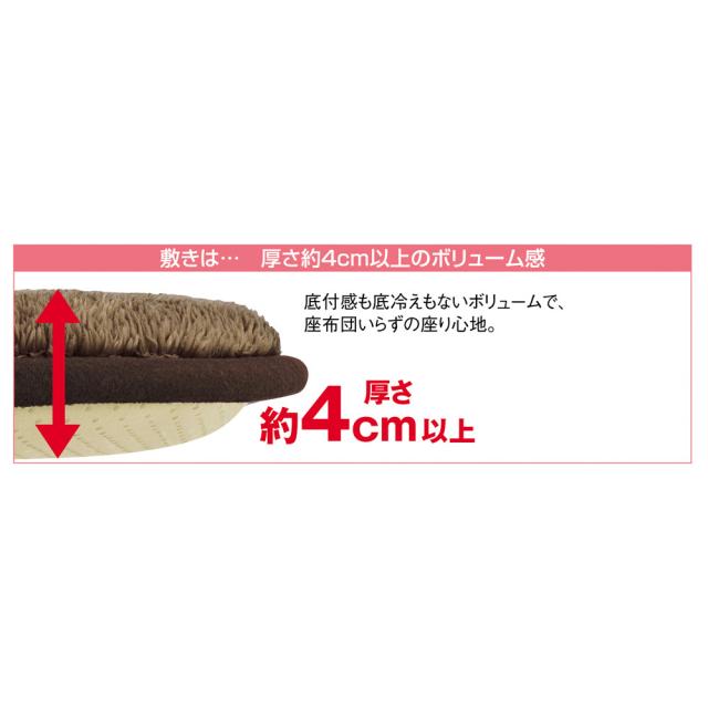 ≪【長方形・特大】190×290cm≫ もこふわマイクロファイバーのシープ調ふっくらこたつシリーズ こたつ敷き布団 こたつ敷布団 611167_4