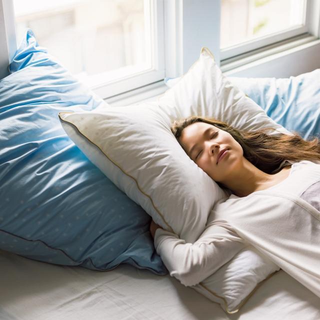 fossflakes/フォスフレイクス 枕 クラシック&ロイヤーレ サテンピローケース付き 約80×80cmハーフボディ 枕カバー ピローケース 624306