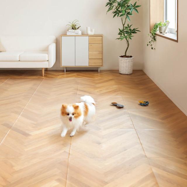 【ディノス限定販売】クラレプラスチックス 透明保護マット 60×60cm 2枚 掃除 お手入れ用品 手入れ リフォーム用品 651907