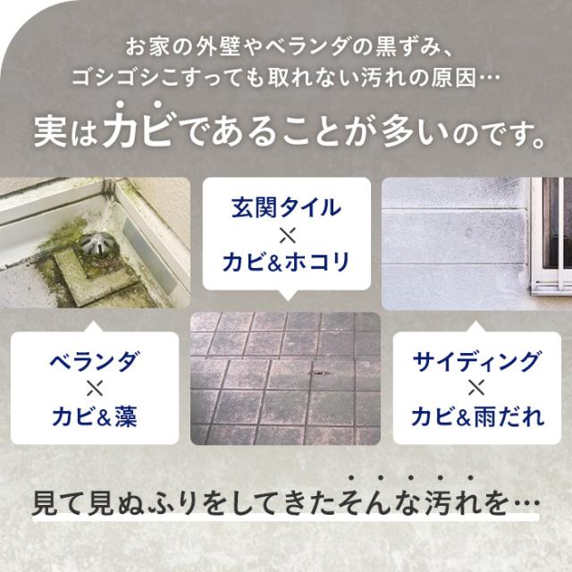 カビ取りスプレー 強力 カビ取り剤 洗浄剤 カビ 除菌 プロのハウスクリーナーが使う業務用住宅洗浄剤 BeO ビーオ お得な2本セット AR2516_3