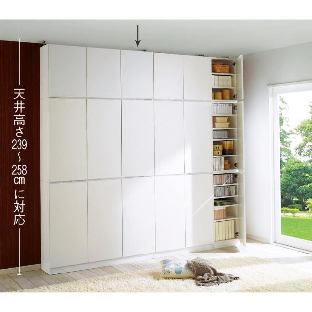 1cmピッチ薄型壁面書棚 奥行29.5cm 幅123cm 上置き高さ55cm 扉 本棚 ラック シェルフ ブックシェルフ 書棚 627829