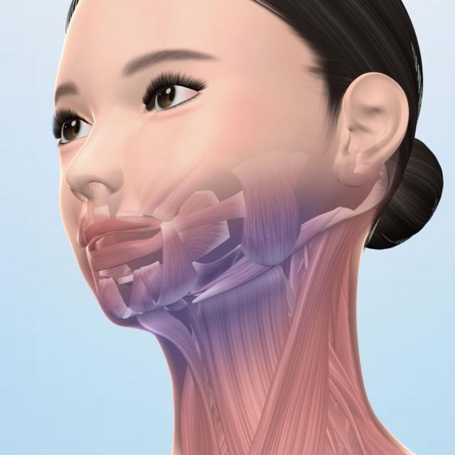 美顔器 EMS あご フェイスライン EMS美顔器 目元ケア もたつき 口元