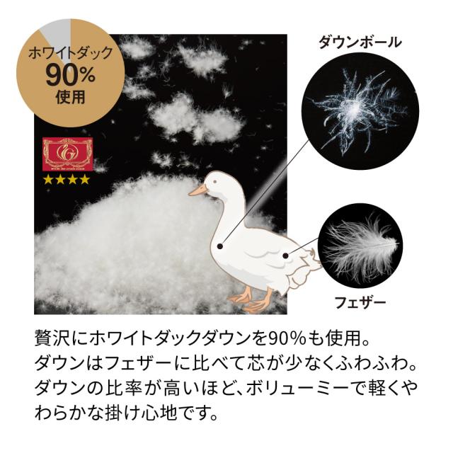 夏用 ≪ダブル≫  リネンのダウンケット 肌掛け 肌掛け布団 ダウンケット 650403_6