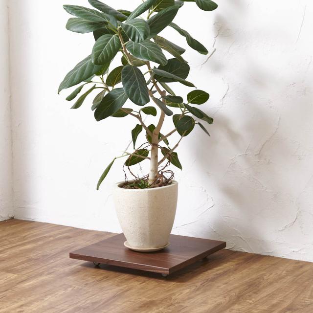 キャスター付きプランターベース ウォールナット 角40cm フラワースタンド プランタースタンド 花台 H92629
