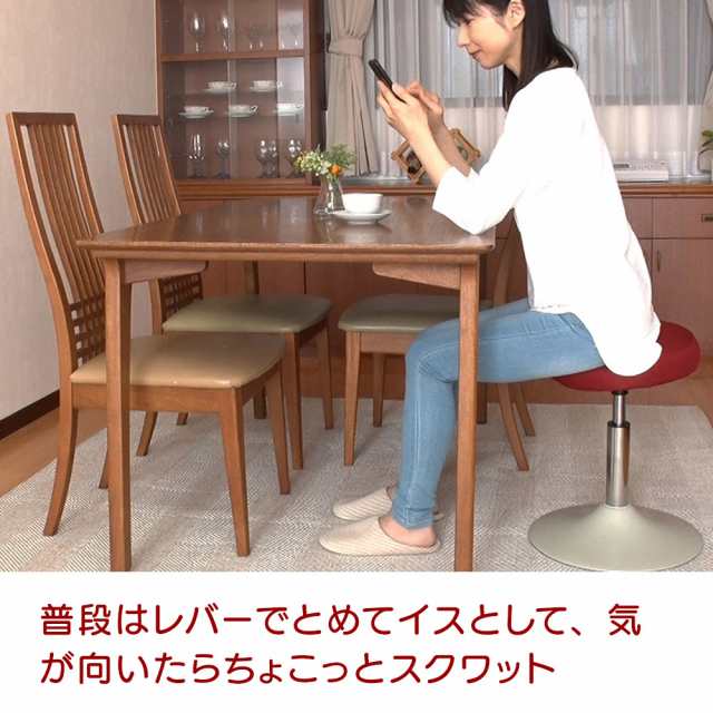 トレーニング用品ミズノ　スクワットチェア