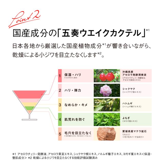 Koh Gen Do/江原道 ザ・スキンウエイクベースメイクシリーズ ディノス特別セット UV 紫外線対策 UV対策コスメ 化粧品 M80204_5