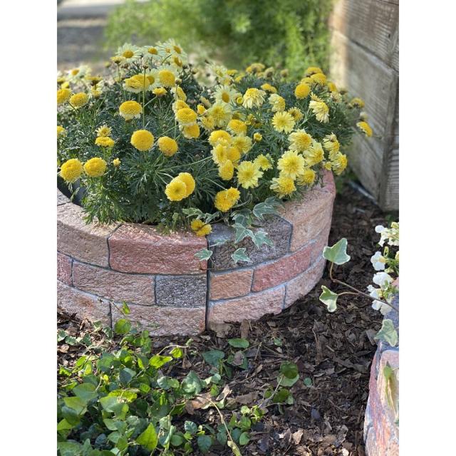 ガーデニング フラワー ガーデニング用品 エクステリア プランター 鉢 フラワースタンド レンガ風花壇 円形50cm1面分 G305の通販はau Pay マーケット ディノス Au Pay マーケット店