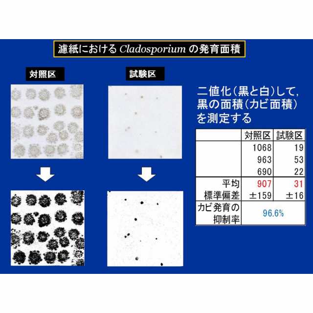 掃除用品 ゴミ箱 カビ取り パイプクリーナー 安心空間 カビ阻止