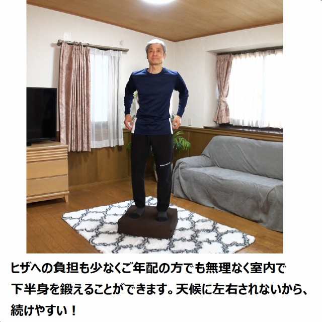 シェイプ フィットネス器具 フジテレビ いいものプレミアム トランポリン 大人用 ダイエット 踏み台昇降 パーフェクトエクサ（R） AR2015