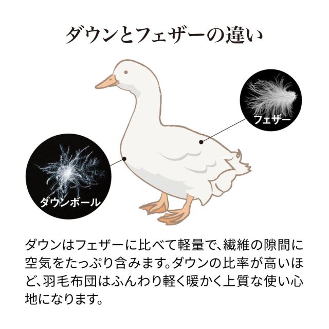≪シングルロング≫【下取なし・通常価格】ハンガリー産5つ星羽毛布団 