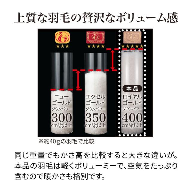 ≪シングルロング≫【下取なし・通常価格】ハンガリー産5つ星羽毛布団 