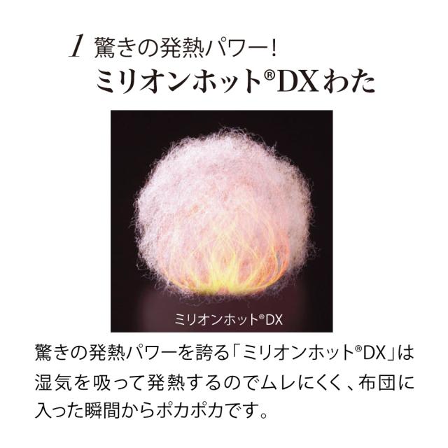 ≪ダブル≫【ディノス限定販売】ヒートループRプレミアムプラス お得な掛け+敷きセット 583903_3