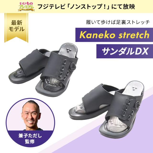 サンダル アーチサポート 足裏 疲れない ストレッチ 健康サンダル レディース 外履き 新・Kaneko stretchサンダルDX AR2686_1