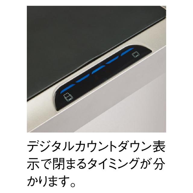 断熱美女ウィッグ✨I型つむじ地肌✨斎藤飛鳥❣️艶髪！美人