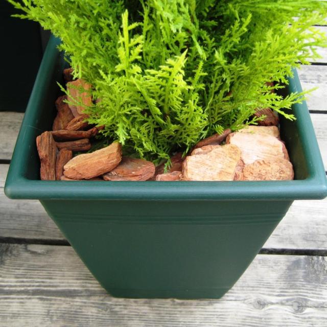 観葉植物 造花 約幅80cm スプリット 6号鉢対応 22 52667 インテリアグリーン リビング 店舗 ショップ お店 観葉植物 造花 約幅80cm スプリット 6号鉢対応 22 52667 インテリア