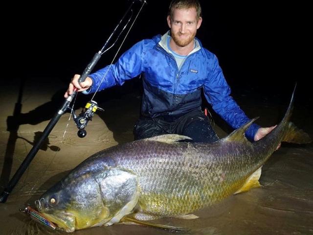 TRANSCENDENCE/トランスセンデンス】Laulau8.3GT-S Rev3.0 /ラウラウ