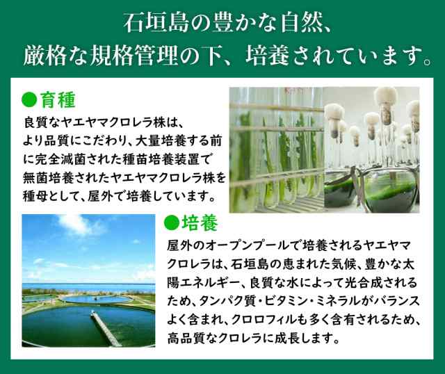 健康食品の原料屋 ヤエヤマ クロレラ 八重山クロレラ 無添加 100％ 粉末 石垣島産 約27日分 80g×1袋 植物性エキス