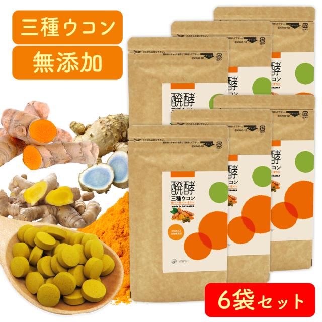 ウコン サプリ 錠剤 発酵ウコン 醗酵三種ウコン 300粒 6袋セット ウコン サプリ 錠剤 発酵ウコン 醗酵三種ウコン 300粒 6袋セット