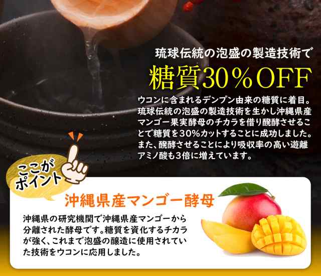 国産 沖縄県産 ウコン サプリ 醗酵三種ウコン 300粒 ヵ月分 送料無料 沖縄スーパーフード 送料無料市場 100 無添加 春ウコの通販はau Pay マーケット 麗幸 レイコウ Au Pay マーケット店