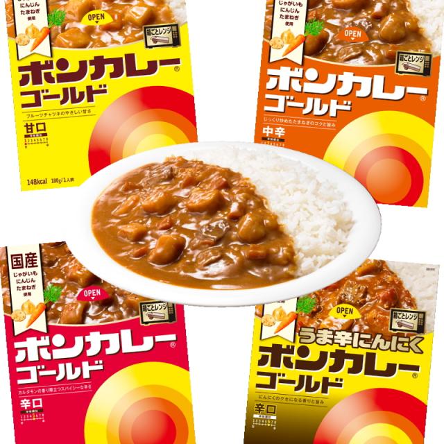 大塚食品 ボンカレーカレーライス 12食セット（レトルトごはん12個+