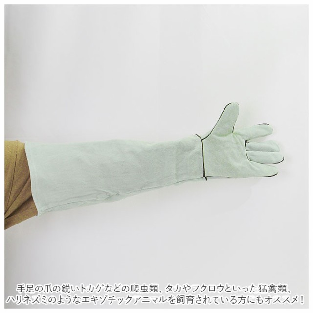 プレカム